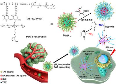 Application of tumor pH/hypoxia-responsive nanoparticles for combined photodynamic therapy and hypoxia-activated chemotherapy